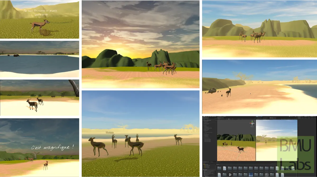 Savannah VR soothing environment